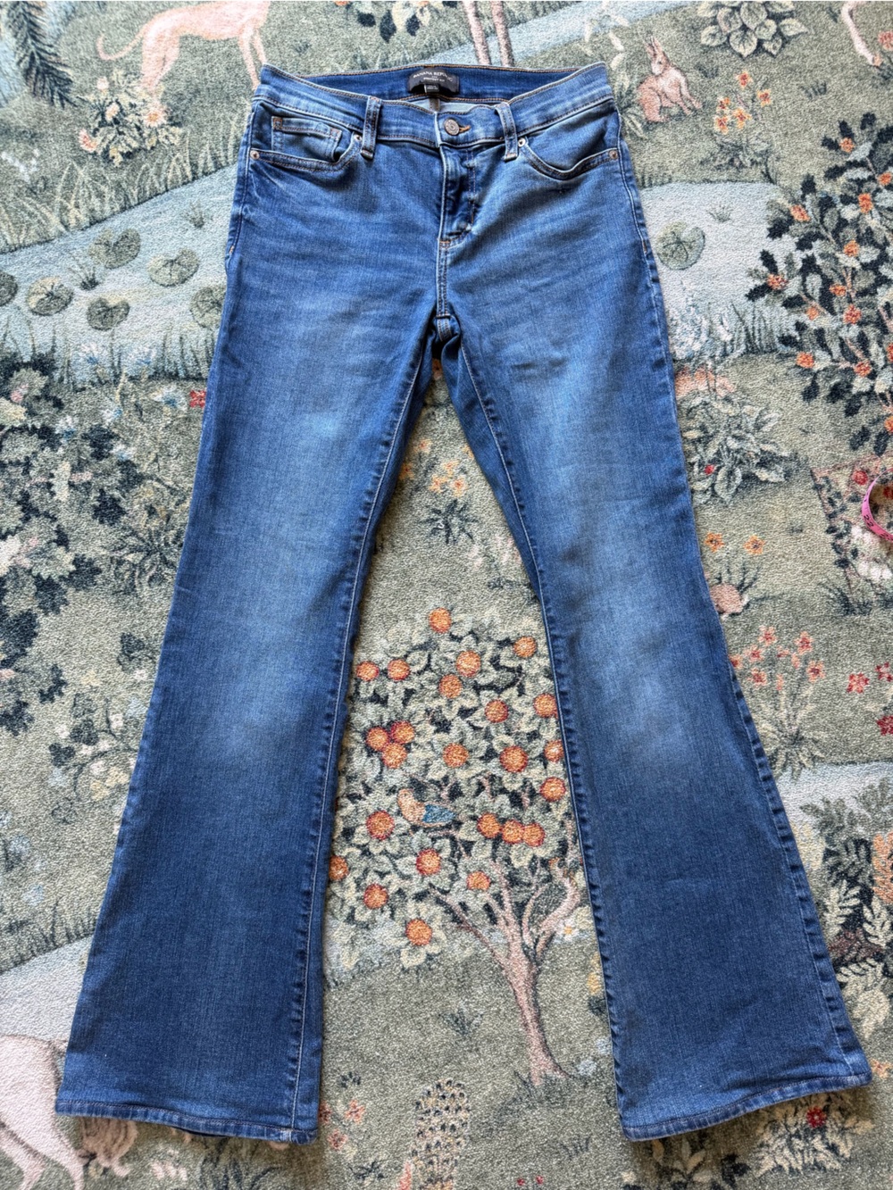 Banana Republic Low Rise Bootcut Jeans Size 4/27